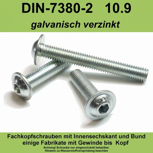 Iso 7380 9 verzinkt - m6,